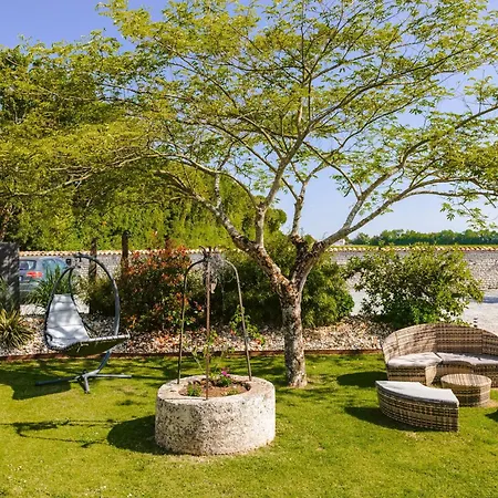 Mimosa Casa vacanze